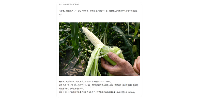 北海道へ行こう・生育日記